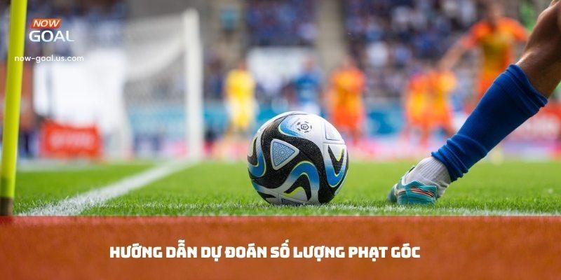 Hướng dẫn dự đoán số lượng phạt góc