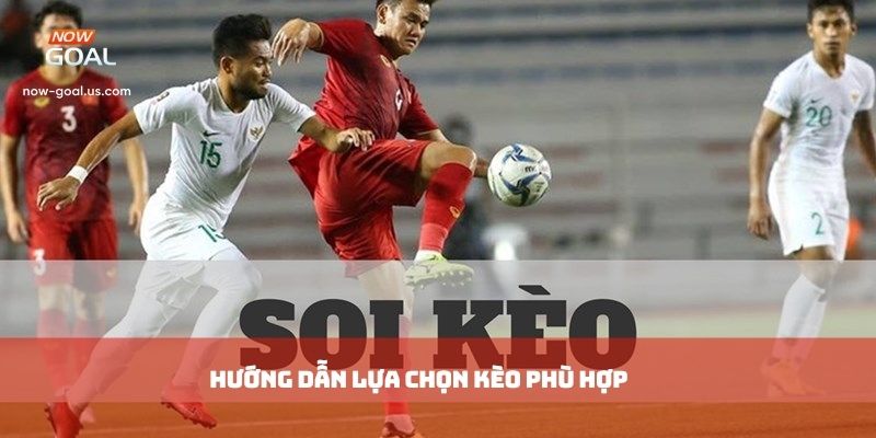 Hướng dẫn lựa chọn kèo phù hợp