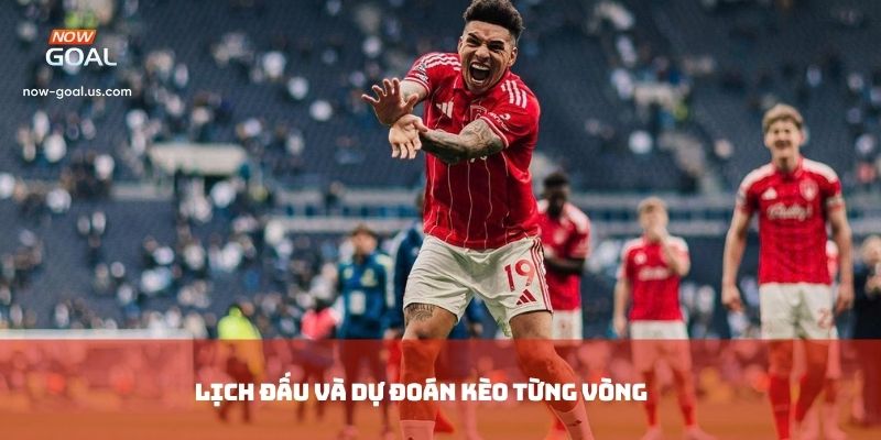 Lịch đấu và dự đoán kèo từng vòng